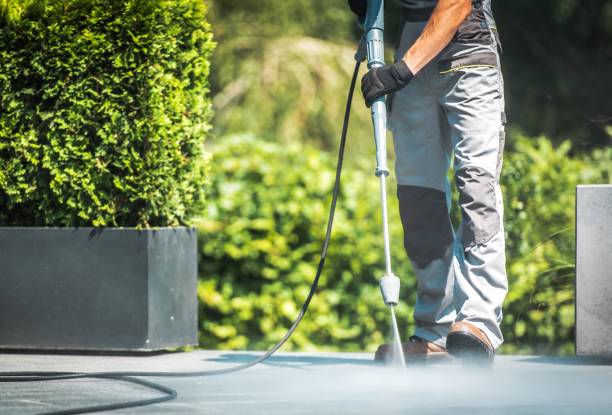 Best Solar Panel Cleaning  in Carey, ID